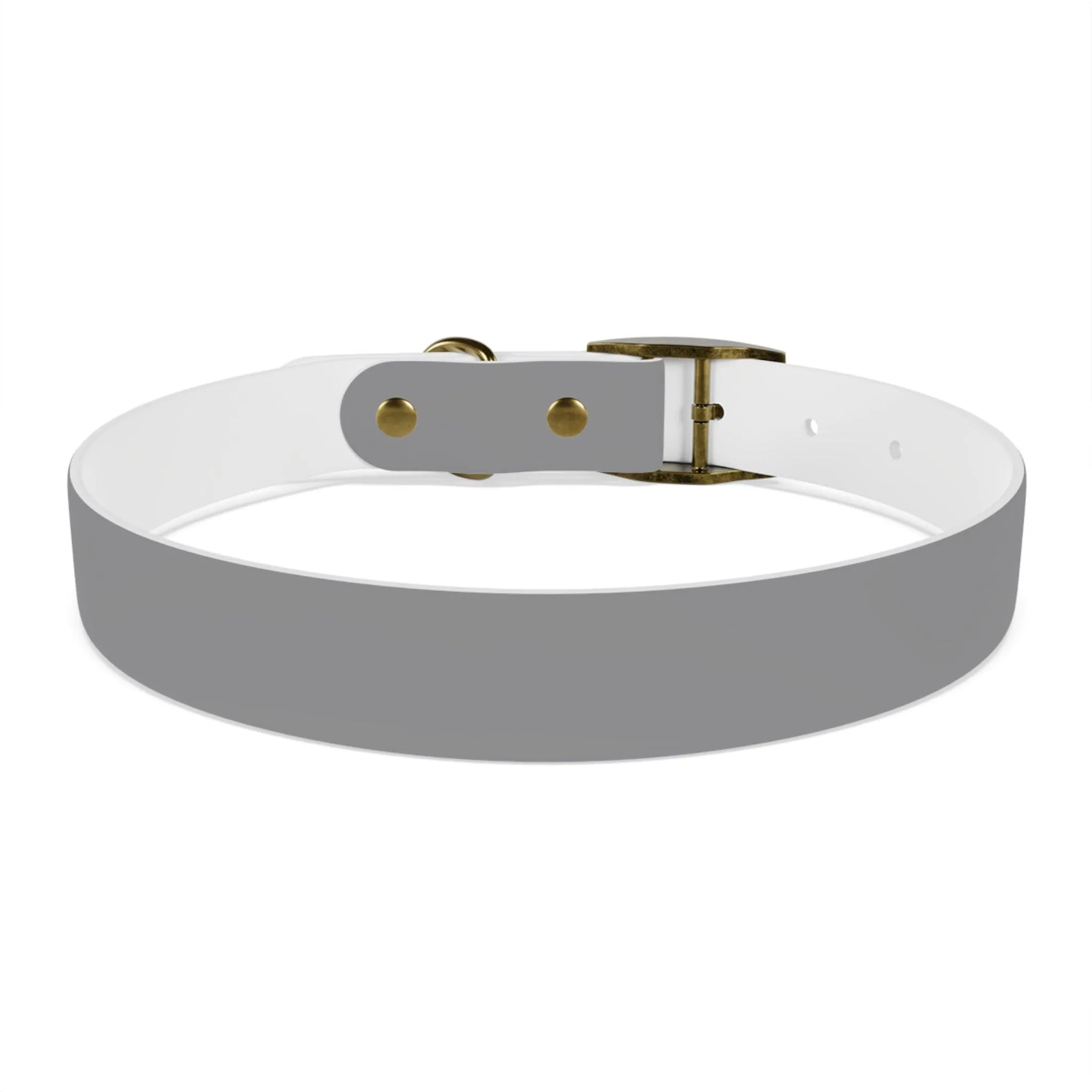 IQ Fashion | Dog Collar